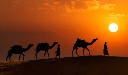 Indian camel drivers with camels in dunes of Thar desert on sunset. Jaisalmer, Rajasthan, India (Photo by DmitryRukhlenko)