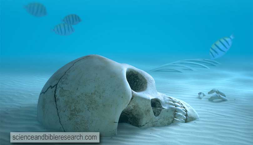 Skull on sandy ocean bottom (Photo by JohanSwanepoel)